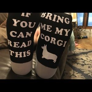 Corgi socks